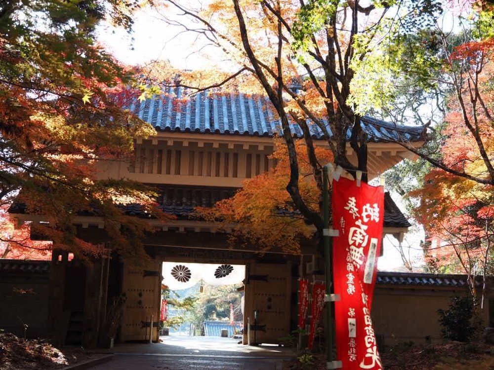 Howl Monさんが投稿した油山寺の紅葉に関する口コミの画像