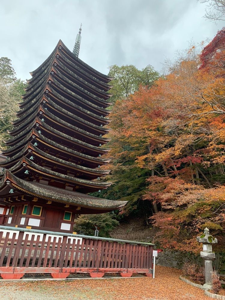 み〜のさんが投稿した東大寺法華堂（三月堂）に関する口コミの画像