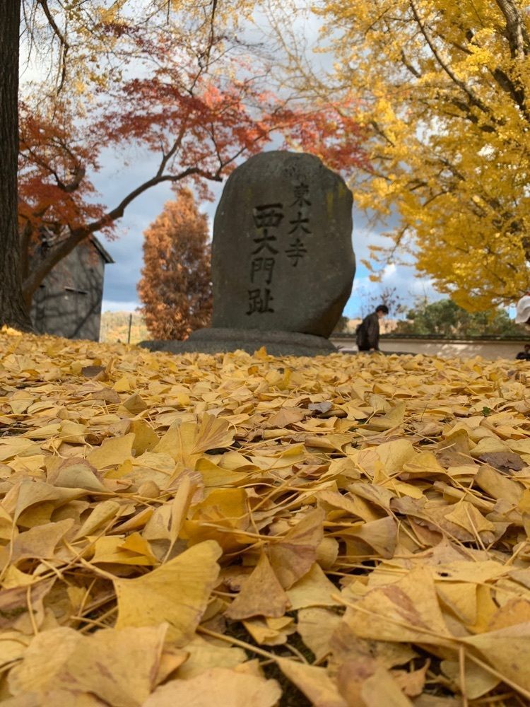 み〜のさんが投稿した東大寺法華堂（三月堂）に関する口コミの画像