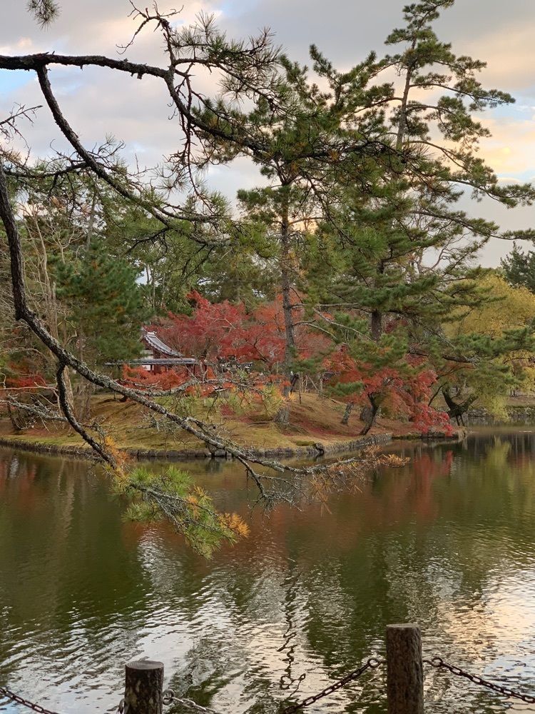 み〜のさんが投稿した東大寺法華堂（三月堂）に関する口コミの画像
