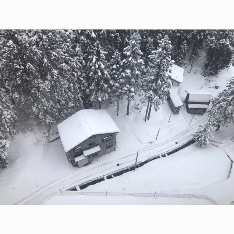 amami0905さんが投稿した湯沢高原に関する口コミの画像