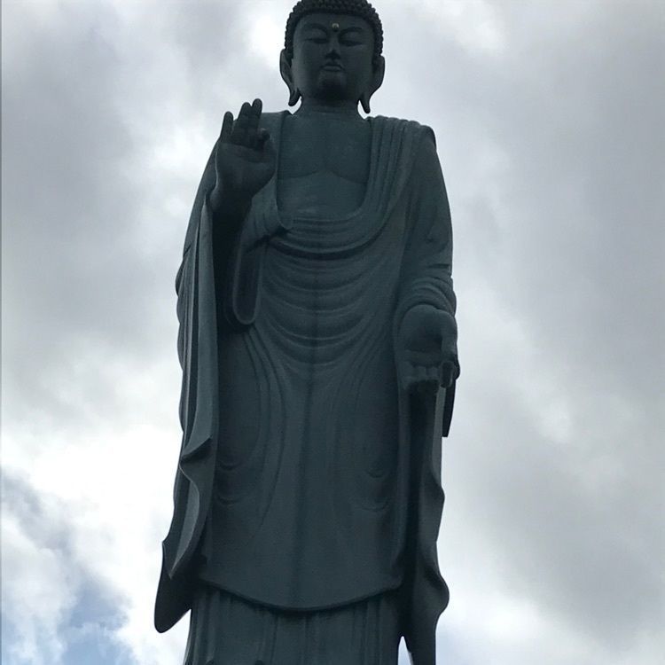 ✨💫momo✨💫✧さんが投稿した良畴寺の梅林に関する口コミの画像