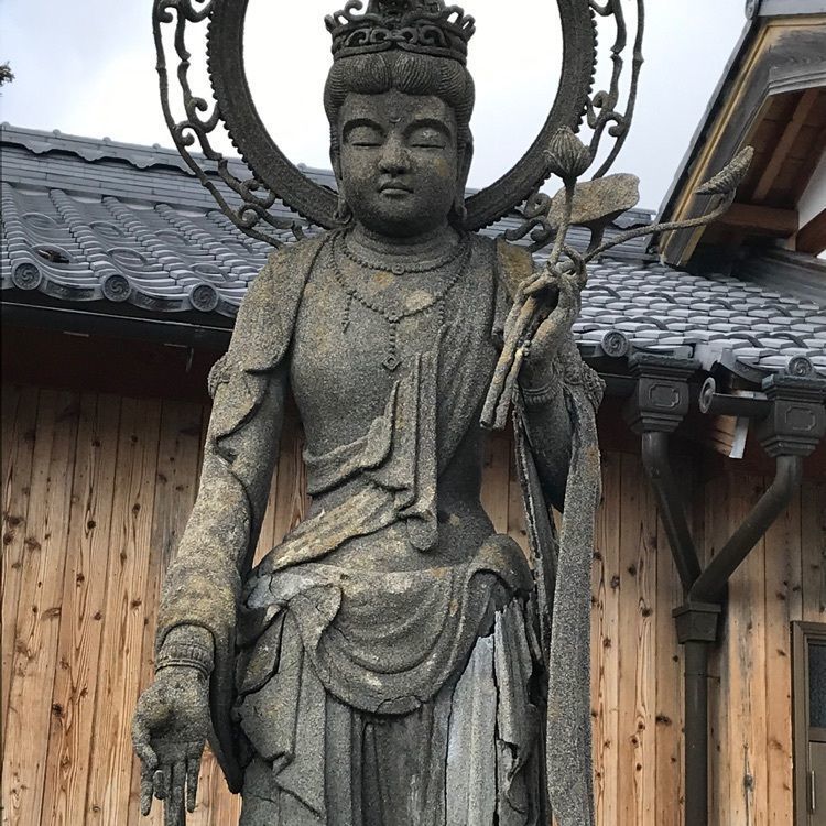 ✨💫momo✨💫✧さんが投稿した良畴寺の梅林に関する口コミの画像