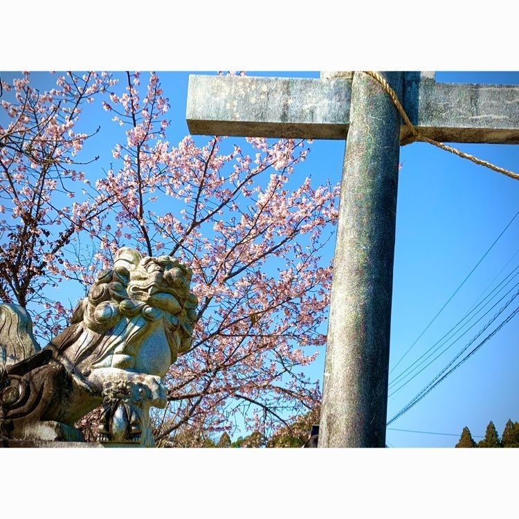noraさんが投稿した生目神社に関する口コミの画像