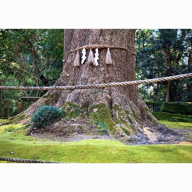 noraさんが投稿した生目神社に関する口コミの画像