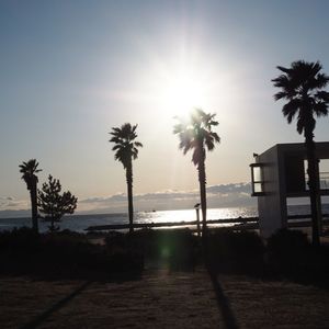 野間海水浴場 4枚目