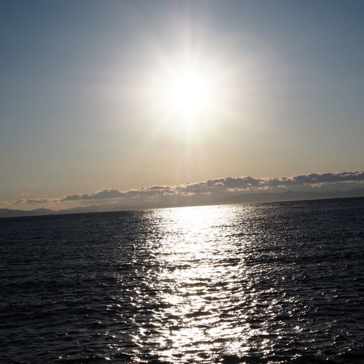 なおなおさんが投稿した野間海水浴場に関する口コミの画像