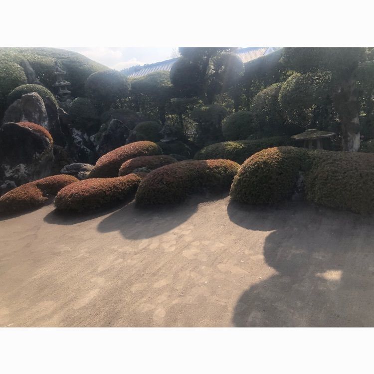 rina310さんが投稿した知覧武家屋敷庭園に関する口コミの画像
