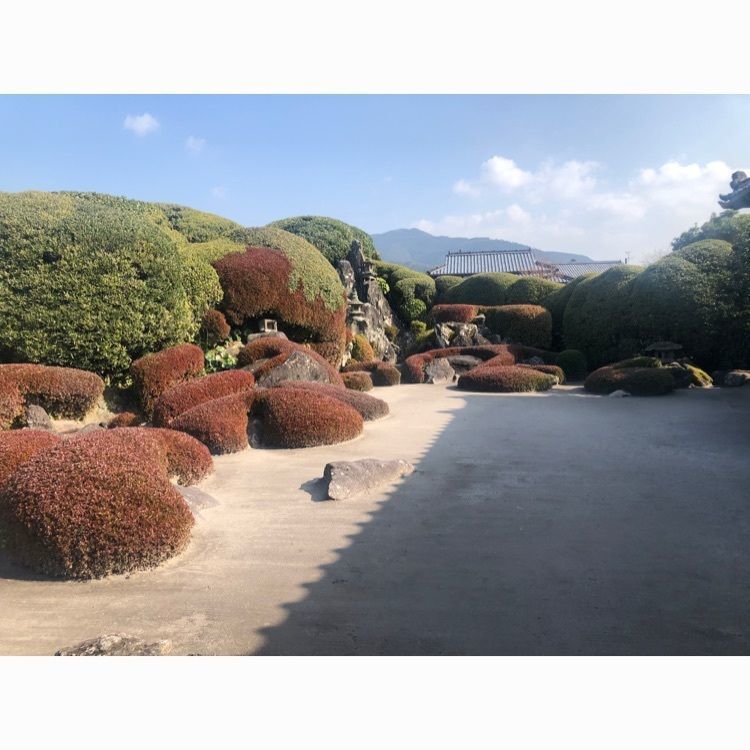 rina310さんが投稿した知覧武家屋敷庭園に関する口コミの画像