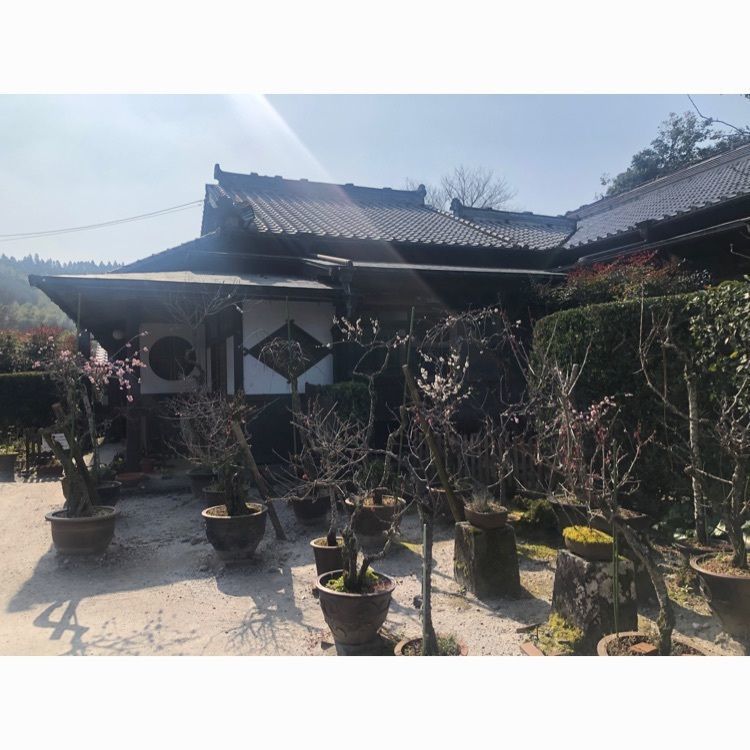 rina310さんが投稿した知覧武家屋敷庭園に関する口コミの画像