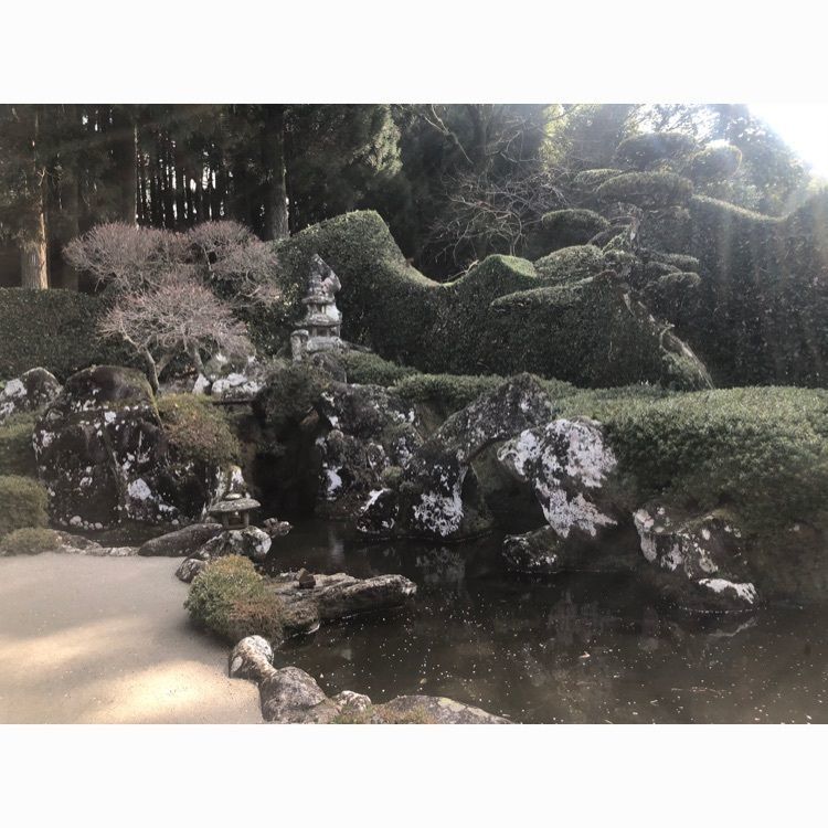 rina310さんが投稿した知覧武家屋敷庭園に関する口コミの画像