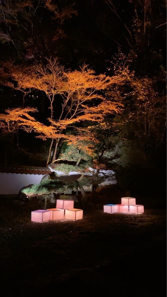 ❤︎marron❤︎さんが投稿した石山寺本堂に関する口コミの画像
