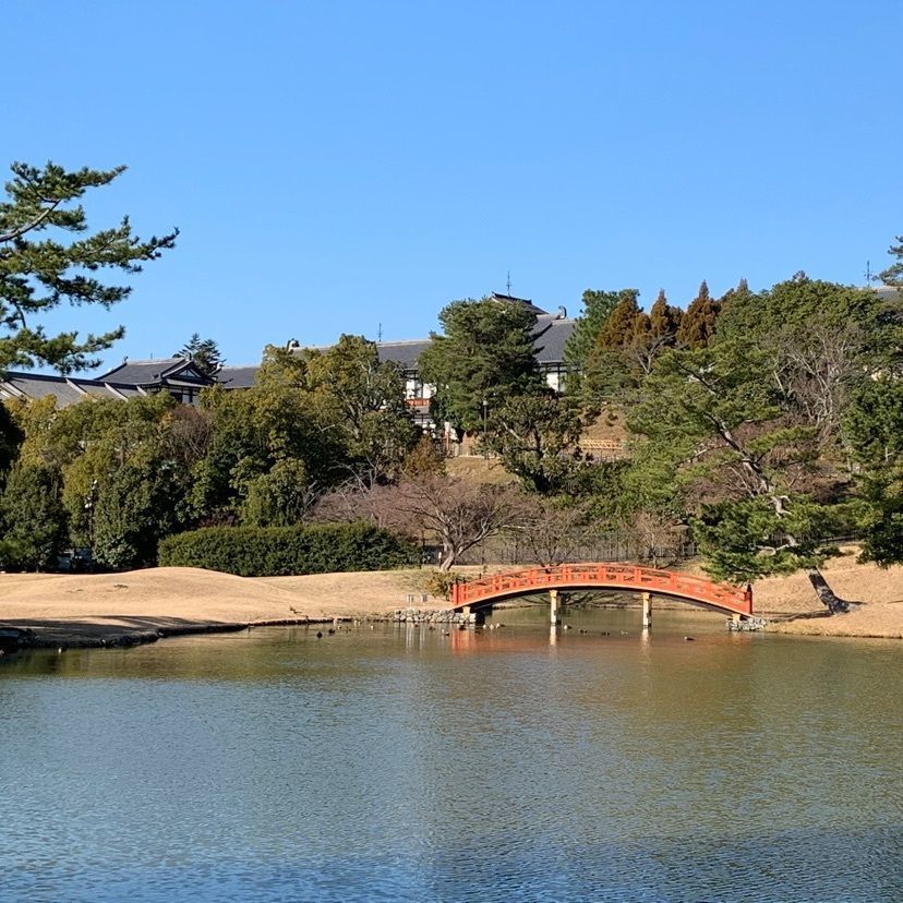 ステップさんが投稿した名勝大乗院庭園文化館に関する口コミの画像