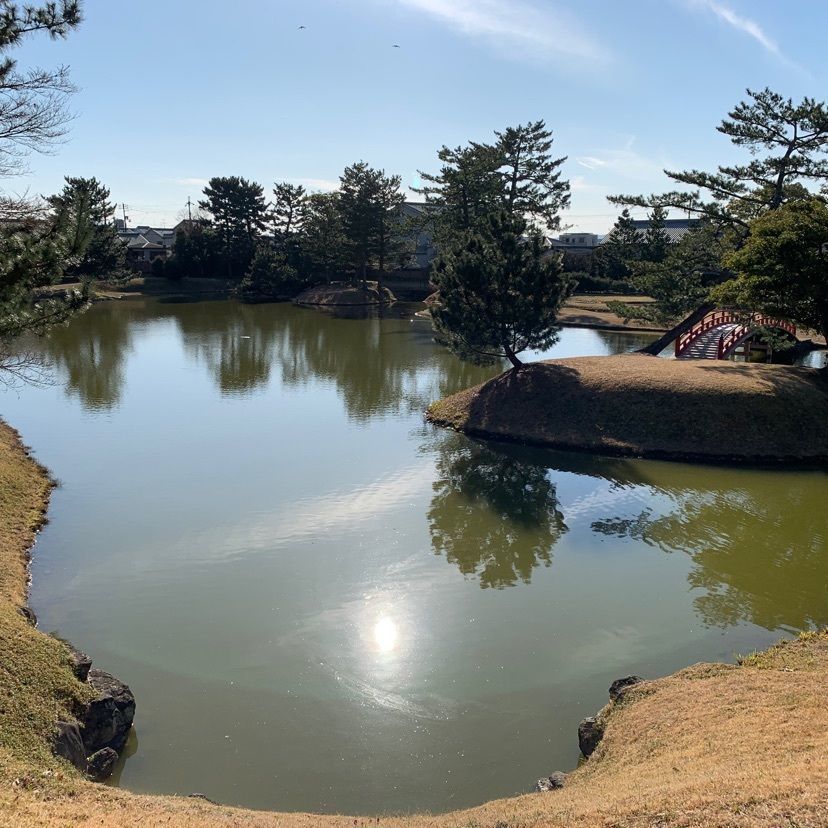 ステップさんが投稿した名勝大乗院庭園文化館に関する口コミの画像