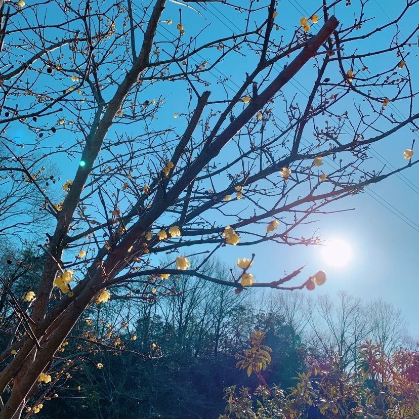 𓇼のんたん𓇼さんが投稿した錦織公園に関する口コミの画像