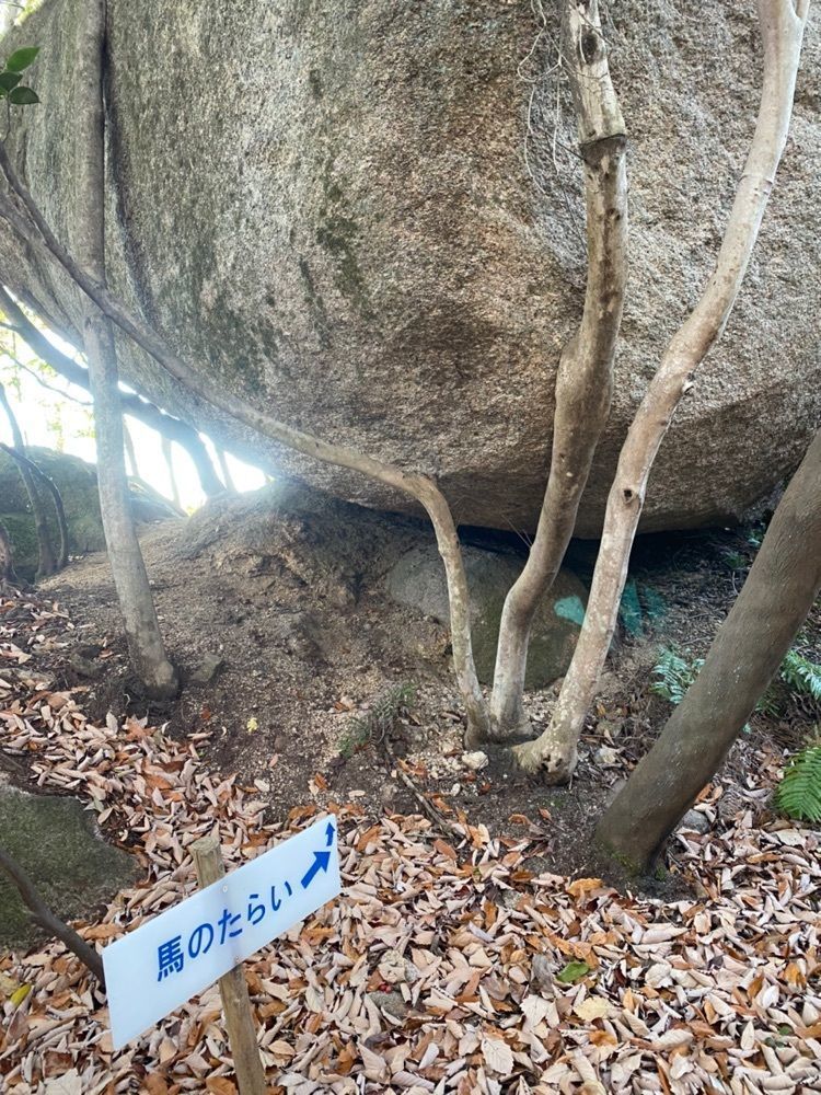 あるふぃすたさんが投稿した経小屋山頂展望台に関する口コミの画像