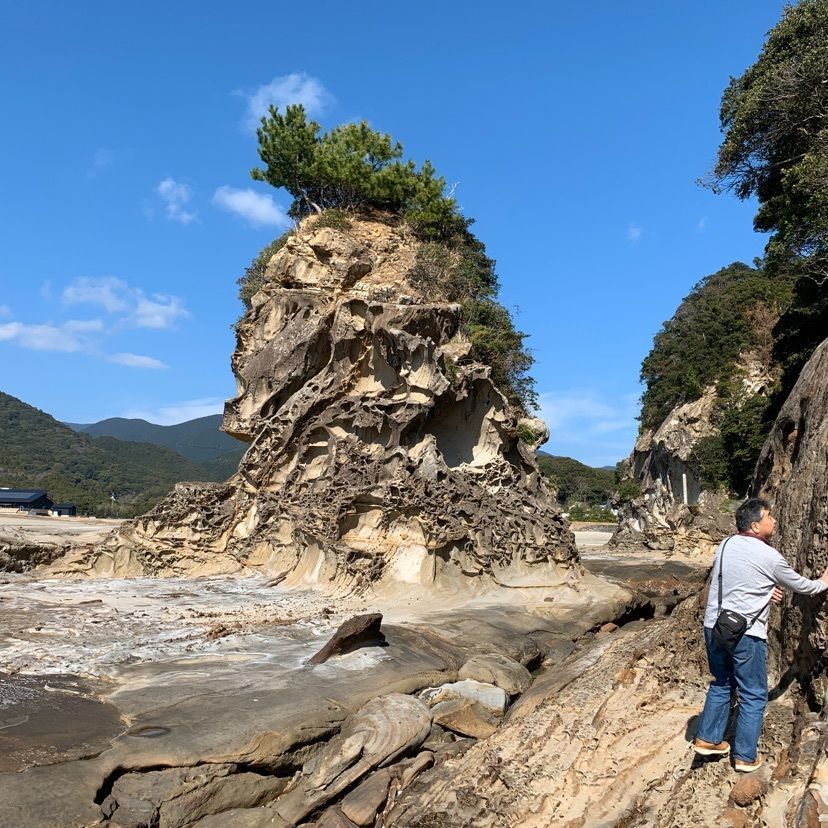メリーさんが投稿した竜串海域公園に関する口コミの画像