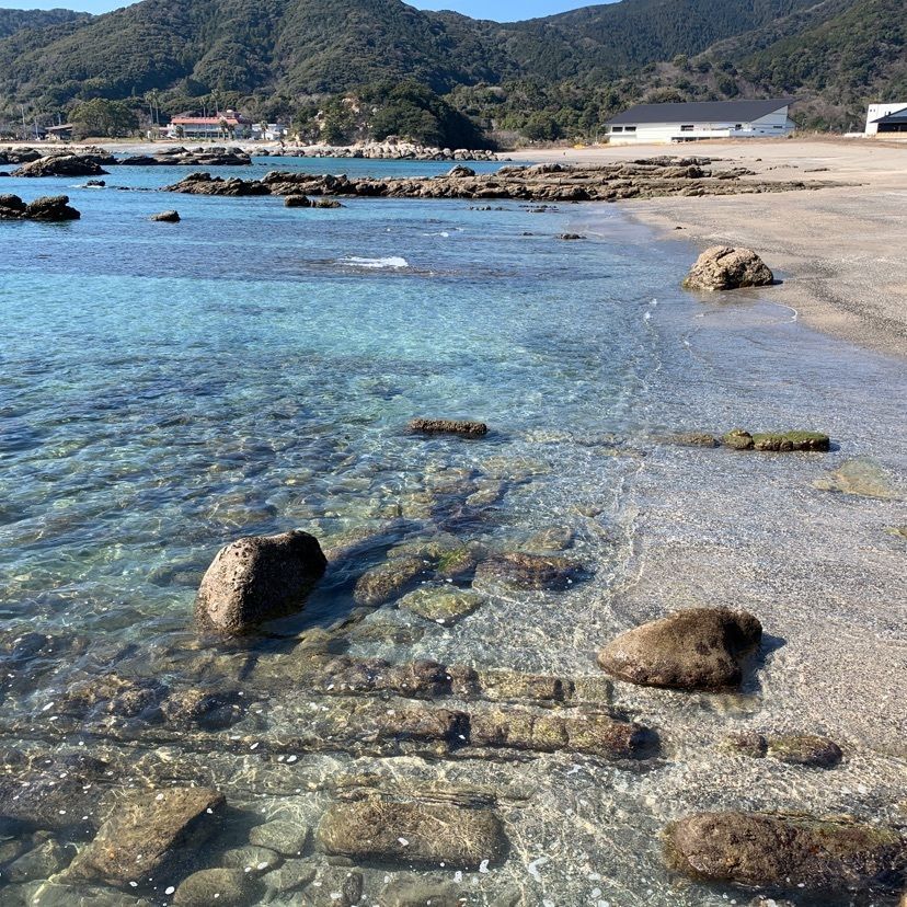 メリーさんが投稿した桜浜海水浴場に関する口コミの画像