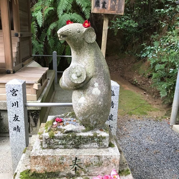 NBR OTさんが投稿した大豊神社に関する口コミの画像