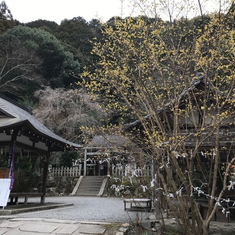 NBR OTさんが投稿した大豊神社に関する口コミの画像