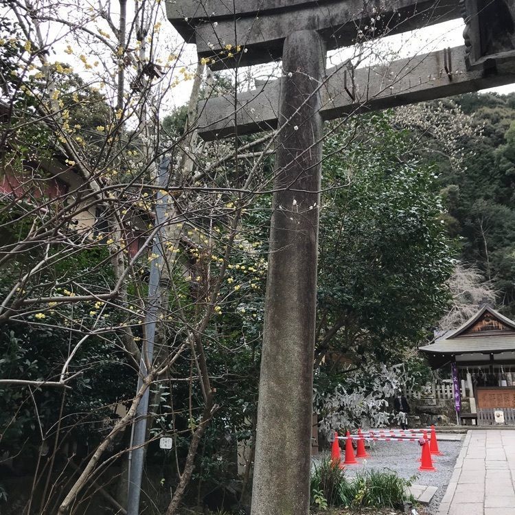 NBR OTさんが投稿した大豊神社に関する口コミの画像