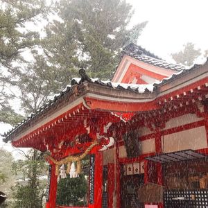 金澤神社 3枚目