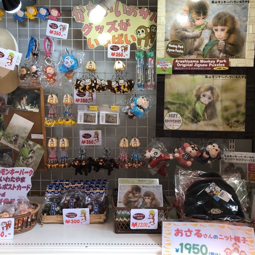 himbaさんが投稿した嵐山モンキーパークいわたやまに関する口コミの画像