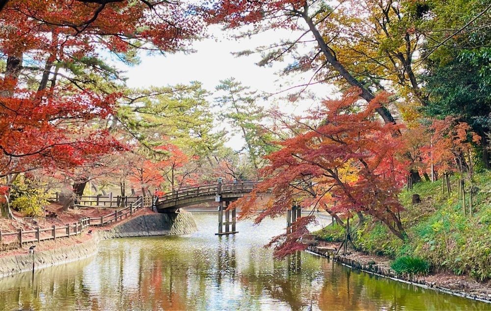 Mitsuさんが投稿した画像の画像