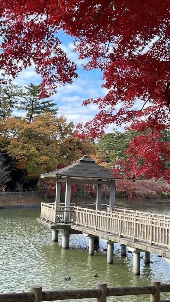 Mitsuさんが投稿した画像の画像