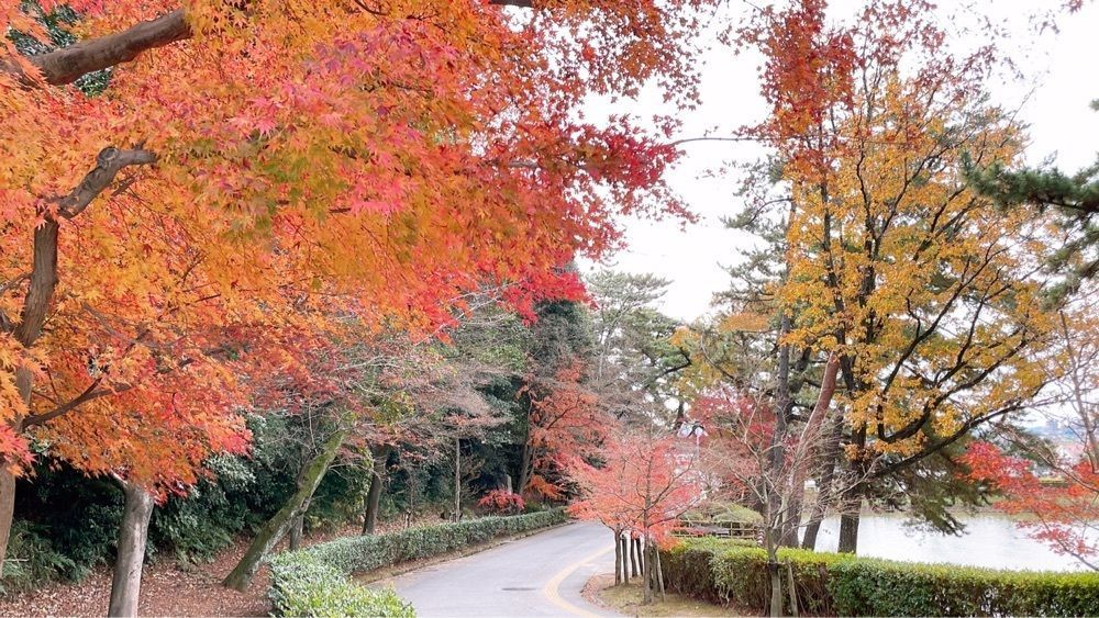 Mitsuさんが投稿した画像の画像