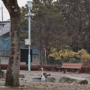久下田公園