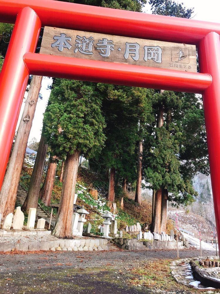 猫なぎ。さんが投稿した口之宮湯殿山神社（旧本道寺）に関する口コミの画像