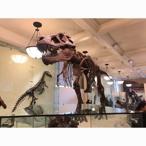 アメリカ自然史博物館