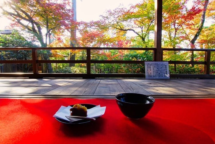 kouetuさんが投稿した大法院（ダイホウイン）に関する口コミの画像