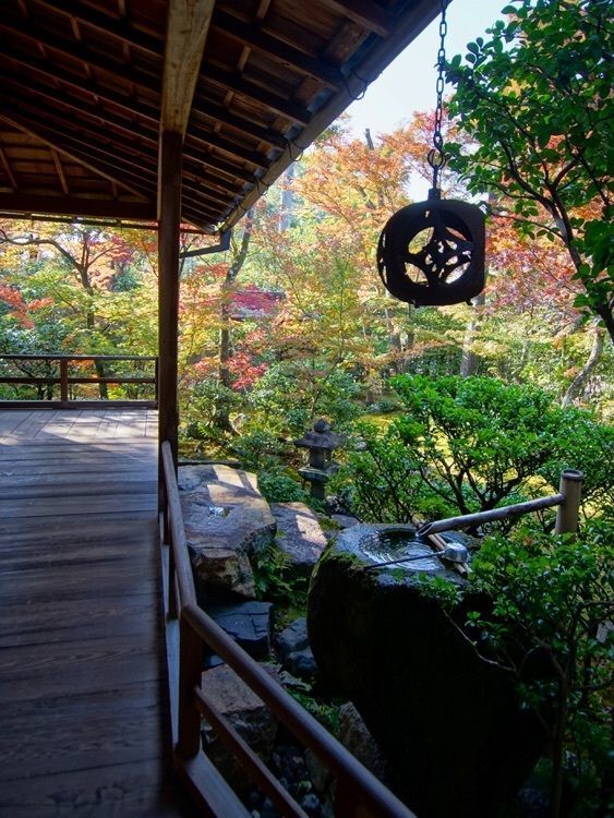 kouetuさんが投稿した大法院（ダイホウイン）に関する口コミの画像