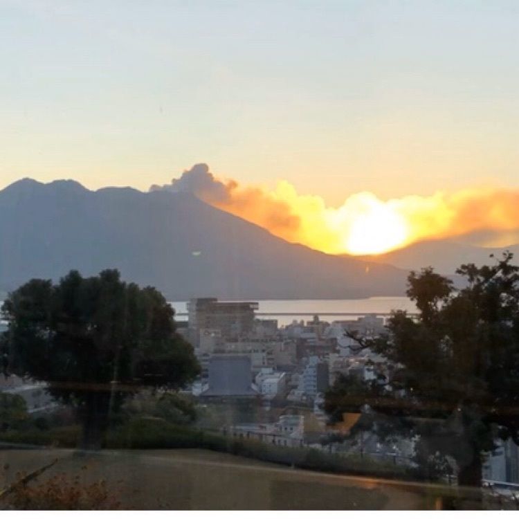ゆうさんが投稿した城山ホテル鹿児島に関する口コミの画像