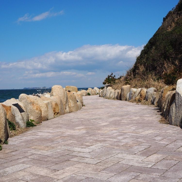 なおなおさんが投稿した名鉄海上観光船伊良湖のりばに関する口コミの画像