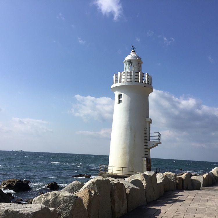 なおなおさんが投稿した名鉄海上観光船伊良湖のりばに関する口コミの画像
