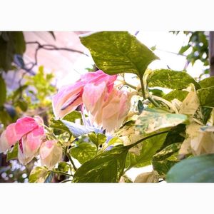 道の駅 ゆ～ぱるのじり 4枚目