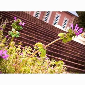 出の山名水ホタル館 2枚目