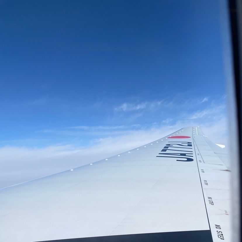 ピロピロ♂さんが投稿したつじ田 福岡空港店に関する口コミの画像