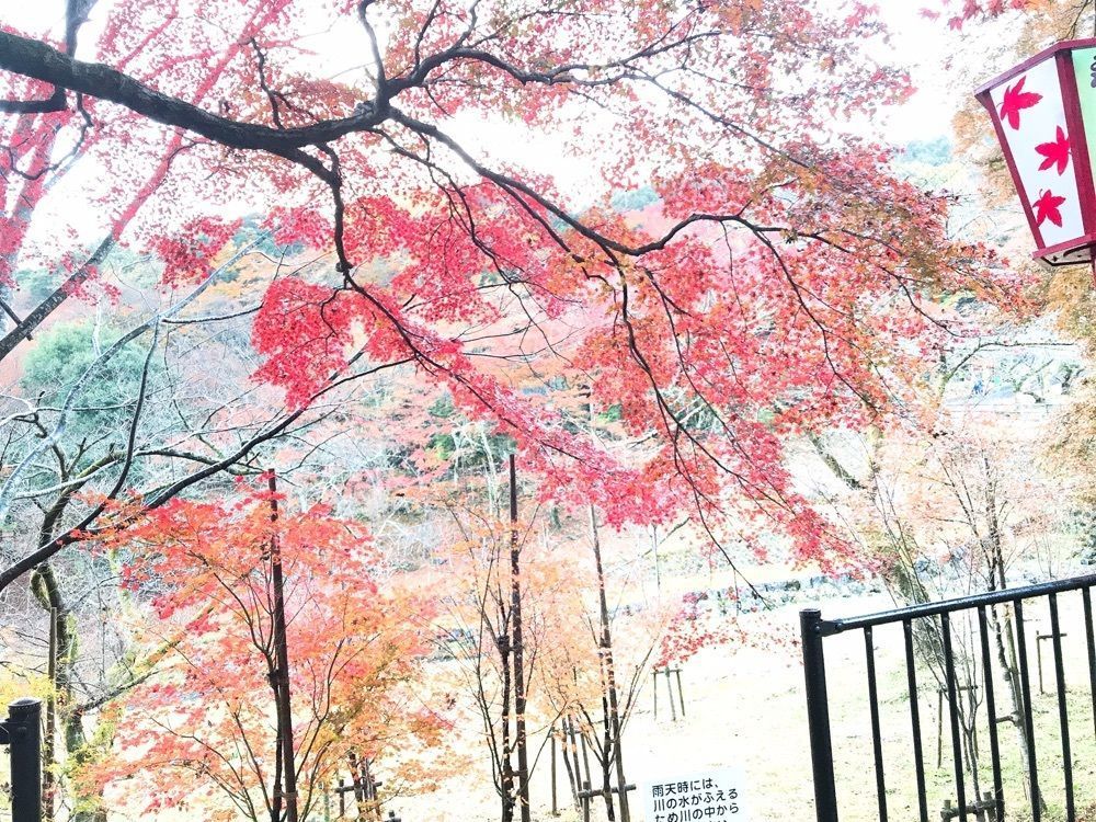 happy_babyさんが投稿した養老の滝 入口売店に関する口コミの画像