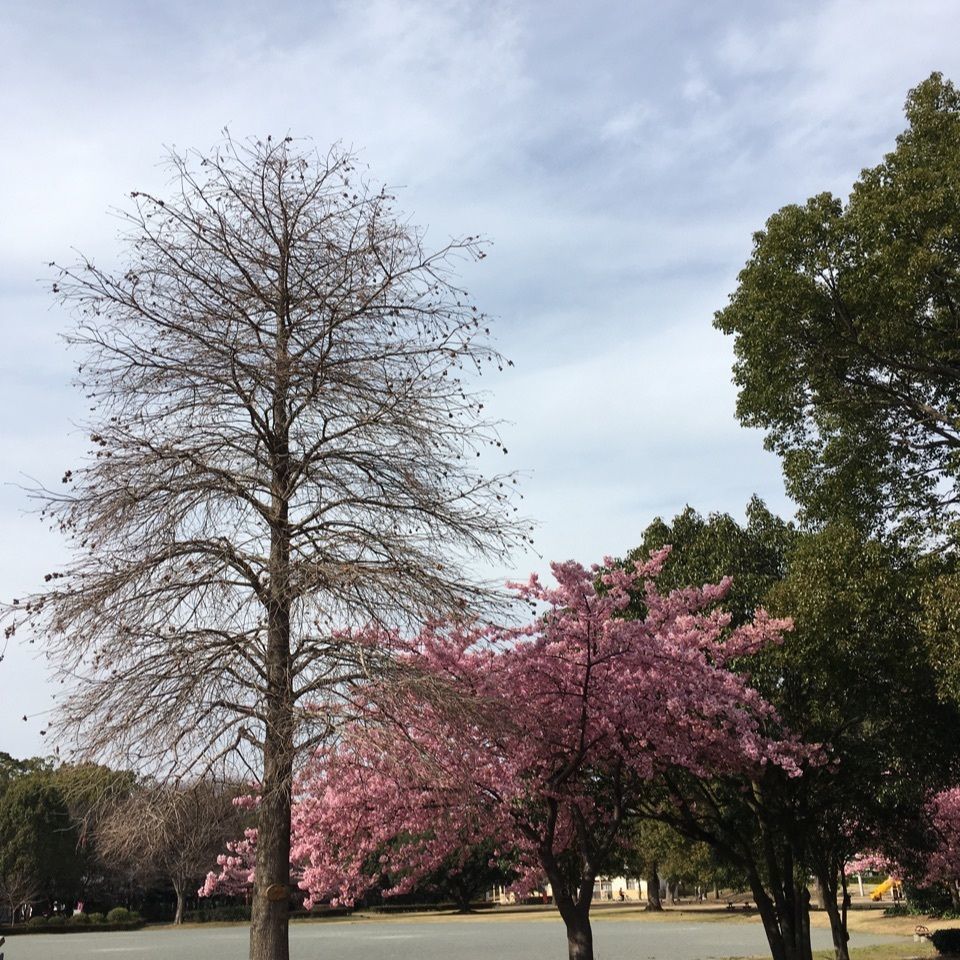 kawaman 3039さんが投稿した米之宮浅間神社に関する口コミの画像