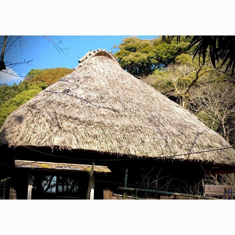 noraさんが投稿した式部屋敷（しきぶやしき）に関する口コミの画像