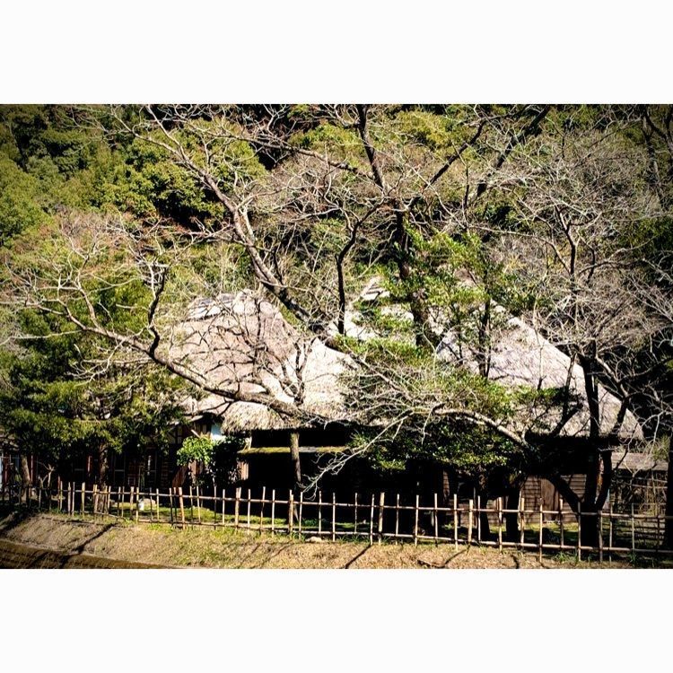 noraさんが投稿した式部屋敷（しきぶやしき）に関する口コミの画像