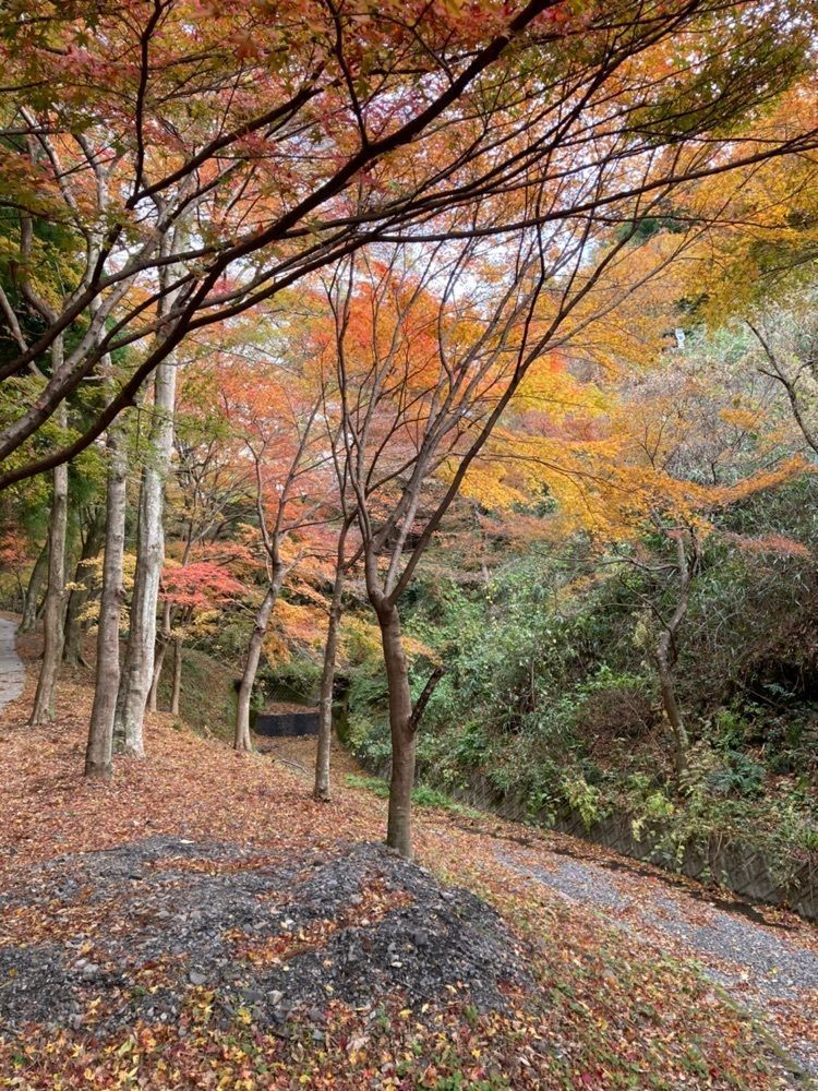 ply さんが投稿した宮妻峡に関する口コミの画像
