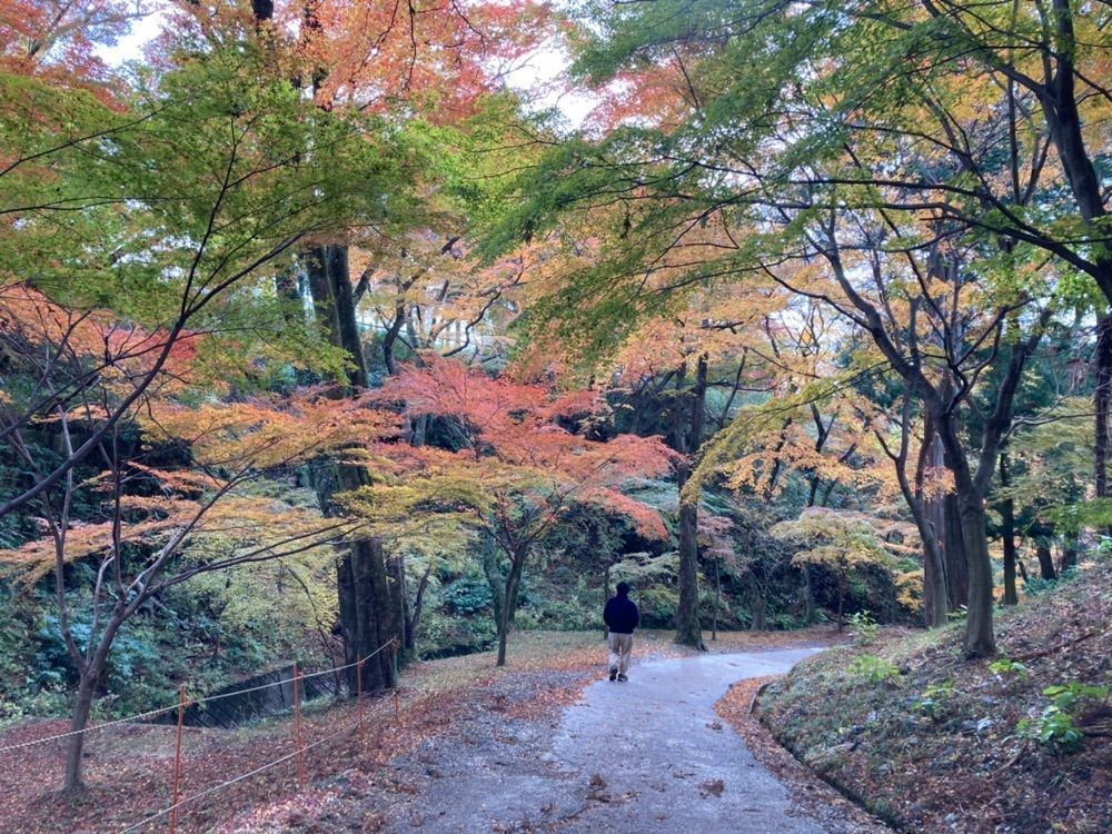 ply さんが投稿した宮妻峡に関する口コミの画像