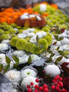 矢川神社(甲賀の雨宮) 2枚目