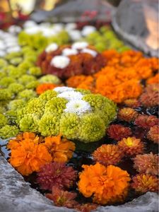 矢川神社(甲賀の雨宮) 3枚目