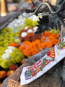 矢川神社(甲賀の雨宮) 4枚目